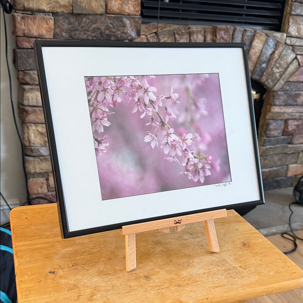 Cherry Blossom Framed Photo